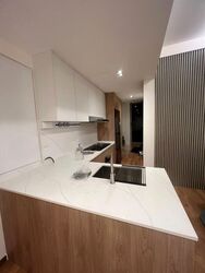 Leonie Suites (D9), Apartment #497586251